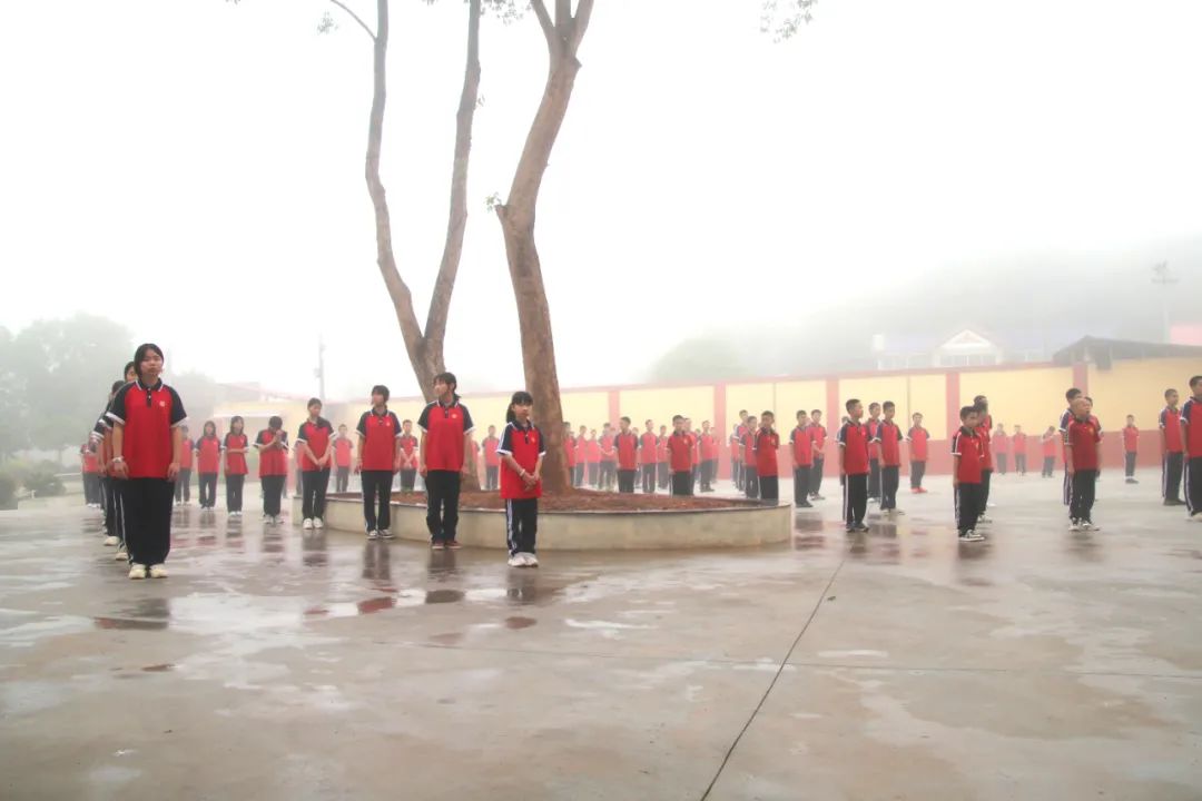 1745920380876256.jpeg image1.jpeg