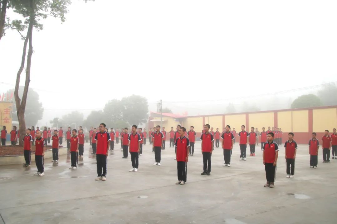 1745920429132098.jpeg image5.jpeg